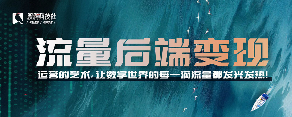 流量后端变现-运营的艺术,让数字世界的每一滴流量都发光发热!-渡鸦科技社